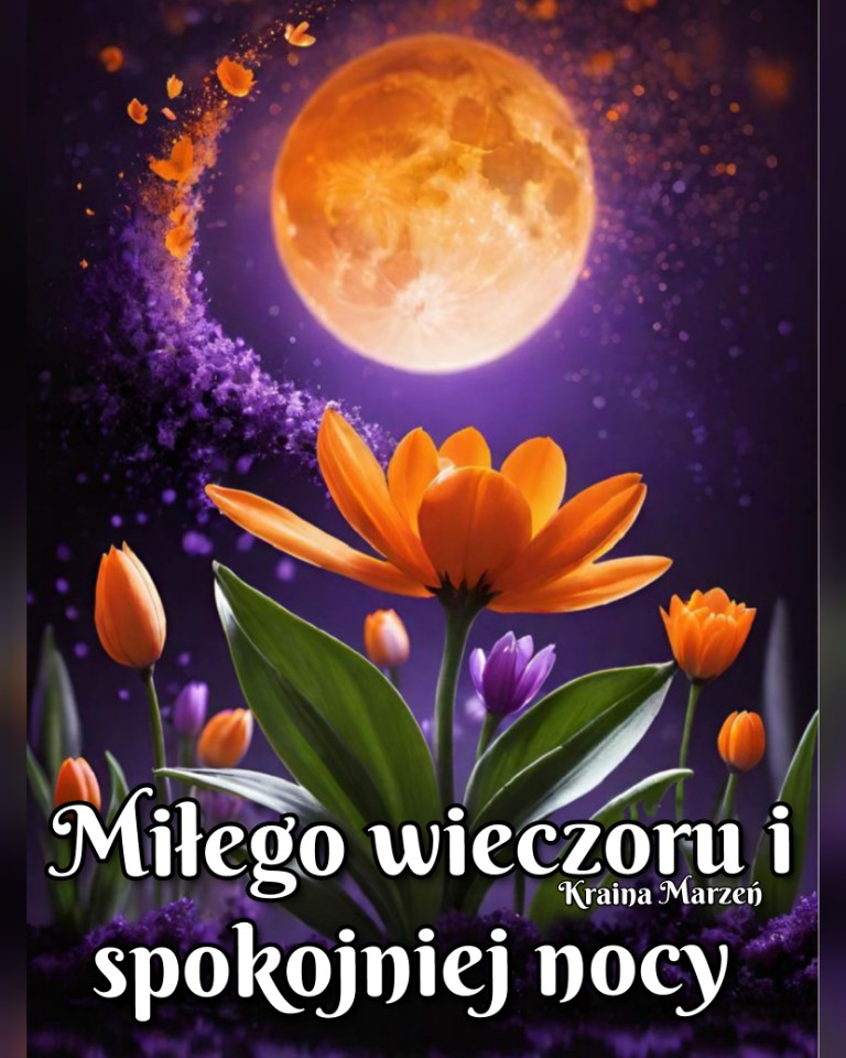 Mi Ego Wieczoru I Spokojniej Nocy Ycz Wszystkim Twoje Karteczki