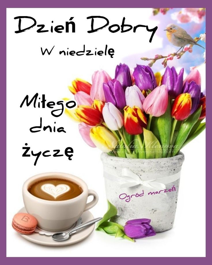 Witam W Niedziel Twoje Karteczki