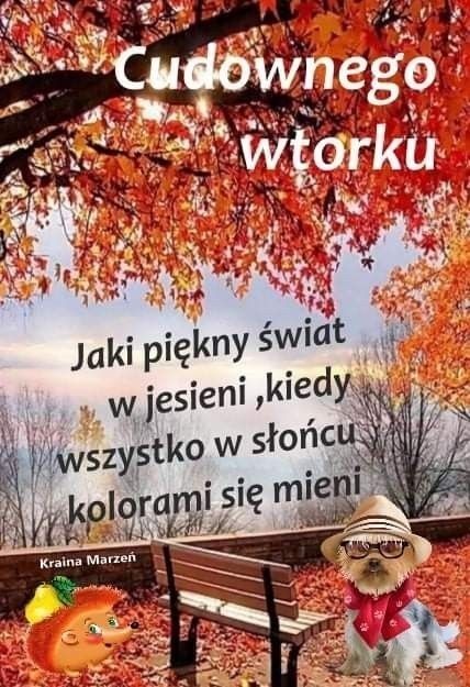 Dzień Dobry We Wtorek | Twoje Karteczki