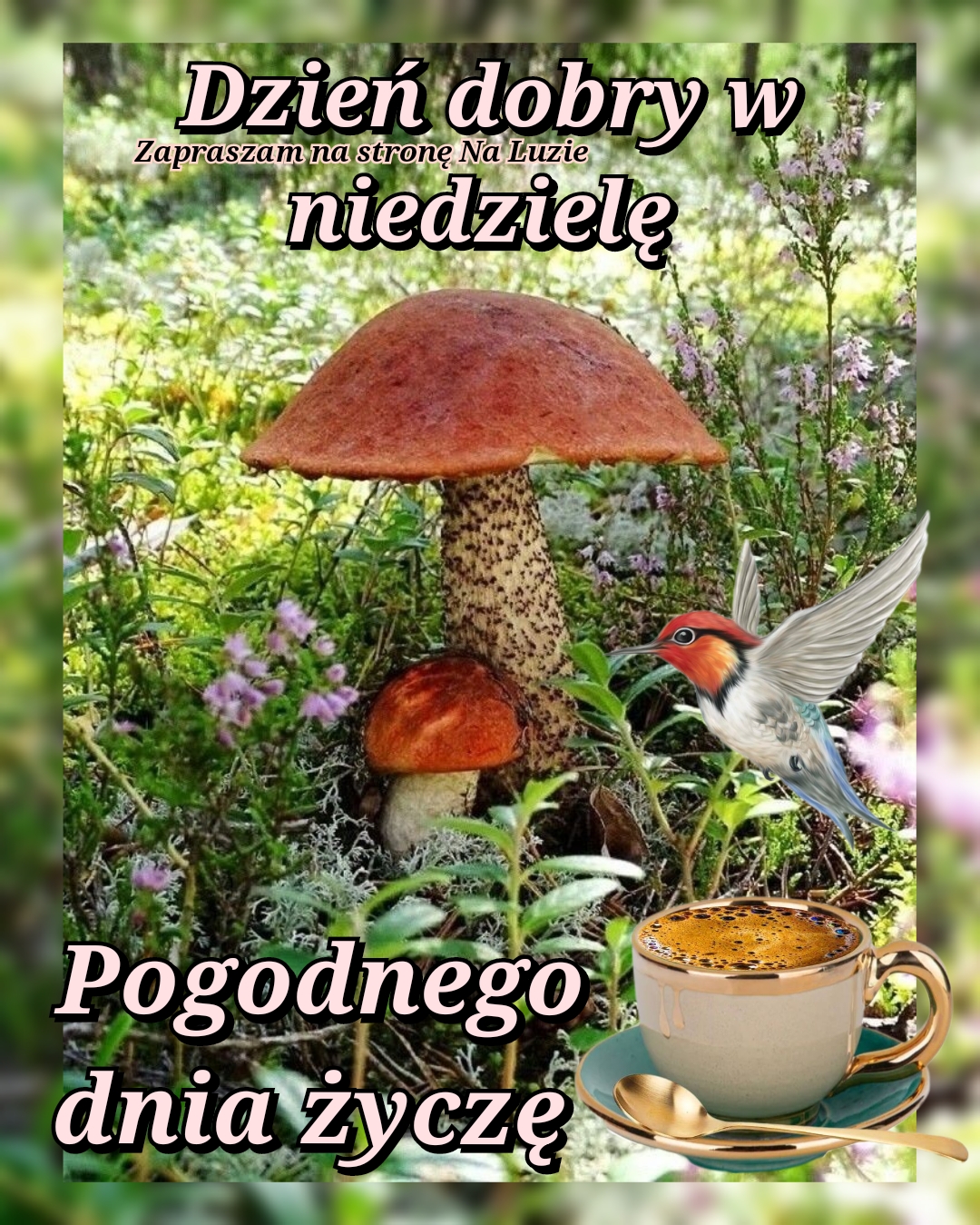 Witam W Niedziel Mi ego Dnia Twoje Karteczki